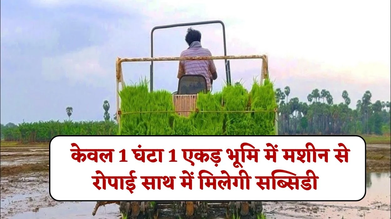 Paddy Transplanter Machine : धान रोपाई में किसानों को मिलेगी बड़ी सुविधा, 1 एकड़ भूमि में मशीन से लगेगा केवल 1 घंटा, साथ में मिलेगी सब्सिडी