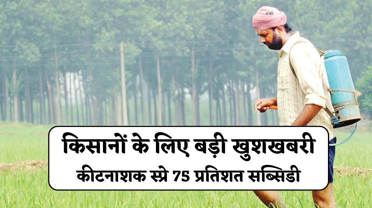 Pesticide Spray Subsidy: किसानों के लिए बड़ी खुशखबरी, राज्य सरकार दे रही कीटनाशक स्प्रे करने पर 75 प्रतिशत सब्सिडी का लाभ, अभी करें आवेदन