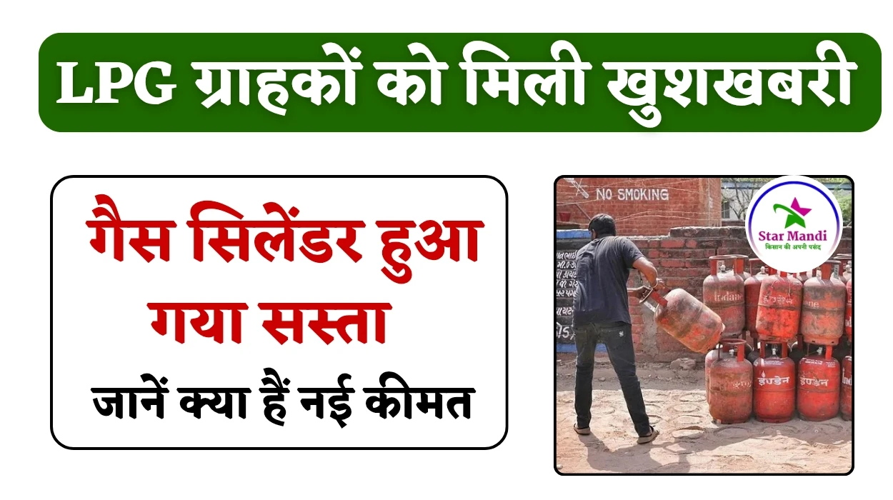 जुलाई महीने की शुरुआत में LPG ग्राहकों को मिली खुशखबरी, मंगवार के दिन सस्ता हुआ गैस सिलेंडर, जानें नया एलपीजी गैस सिलेंडर कीमत